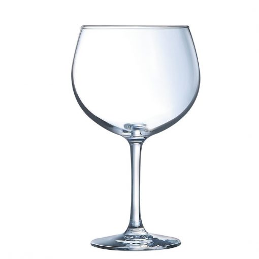 Gin Cocktail Glass 24oz